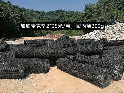 加筋麥克墊網(wǎng)格8*10cm,聚丙烯質(zhì)量300g,多少錢(qián)，怎么賣(mài)？